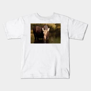 Moose - Algonquin Park, Canada Kids T-Shirt